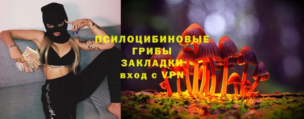 ешки Абдулино