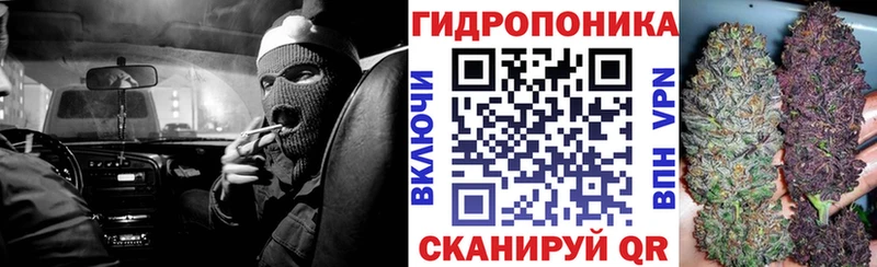 Канабис семена  наркота  OMG зеркало  Ужур 